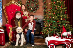 Dogs with Santa